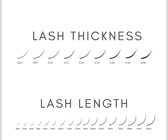 Lash_Inc_Sg_Lash_Extension_Curls_Styles_Design